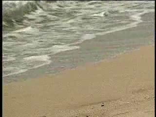 Anale sex op het strand